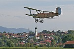 Flamingo über Königsdorf